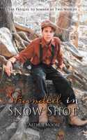 Stranded in Snow Shoe