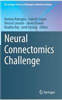 Neural Connectomics Challenge