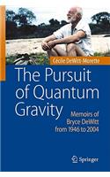 The Pursuit of Quantum Gravity