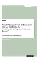 Welche Chancen bieten die Instrumente CIS und DORESI für die Qualitätsentwicklung im schulischen Bereich?