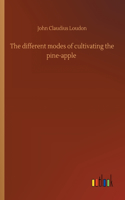 different modes of cultivating the pine-apple