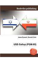 USS Gallup (Pgm-85): (English)