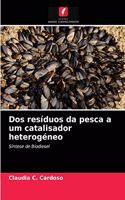 Dos resíduos da pesca a um catalisador heterogéneo