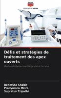 Défis et stratégies de traitement des apex ouverts