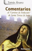 Comentarios al 