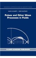 Pulses and Other Wave Processes in Fluids