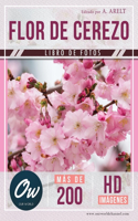 Flor de Cerezo: Libro de fotos - Más de 200 imágenes HD