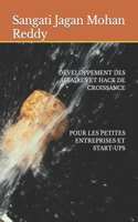 Développement Des Affaires Et Hack de Croissance Pour Les Petites Entreprises Et Start-Ups