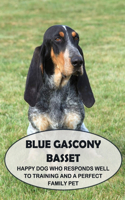 Blue Gascony Basset