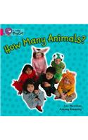 How Many Animals: Band 01a/Pink a(Collins Big Cat)