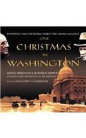 One Christmas in Washington