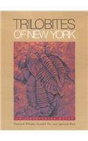 Trilobites of New York