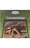 Tarantulas