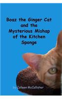 Boaz the Ginger Cat and the Mysterious Mishap of the Kitchen Sponge