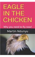 Eagle in the Chicken