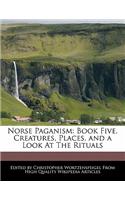 Norse Paganism: Book Five. Creatures, Places, and a Look at the Rituals