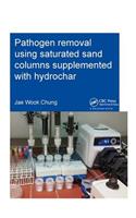 Pathogen Removal Using Saturated Sand Columns Supplemented with Hydrochar