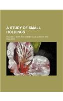 A Study of Small Holdings