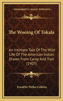 The Wooing Of Tokala