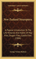 New Zealand Neuroptera