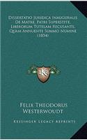 Dissertatio Juridica Inauguralis De Matre, Patri Superstite, Liberorum Tutelam Recusante, Quam Annuente Summo Numine (1854)
