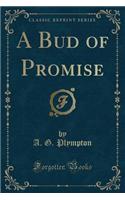 A Bud of Promise (Classic Reprint)