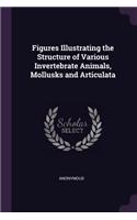 Figures Illustrating the Structure of Various Invertebrate Animals, Mollusks and Articulata