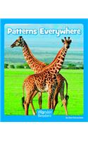 Patterns Everywhere