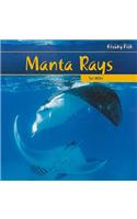 Manta Rays