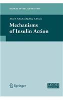 Mechanisms of Insulin Action