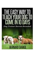 The Easy Way To Teach Your Dog To Come In 10 Days