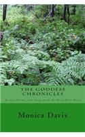 Goddess Chronicles