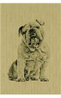 Bulldog