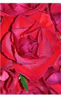 150 Page Lined Bunch Of Red Roses Journal