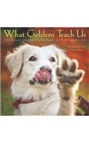 What Goldens Teach Us 2019 Wall Calendar (Dog Breed Calendar)