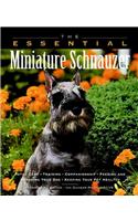The Essential Miniature Schnauzer