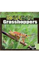 Grasshoppers