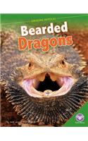 Bearded Dragons