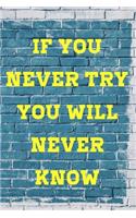 If you never try, you will never know