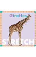 Giraffes Stretch