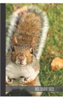 nuts squirrel notes