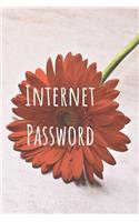 Internet Password