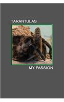 Tarantulas my Passion