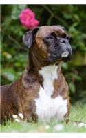 Great Boxer Dog Pose Journal