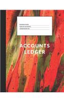 Accounts Ledger