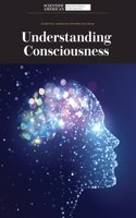 Understanding Consciousness