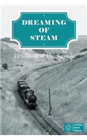 Dreaming of Steam