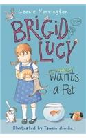 Brigid Lucy Wants a Pet