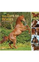 Horses, 366 Days of, 2020 Square Wall Calendar