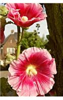 Pink Hollyhock Flowers in the Garden Journal